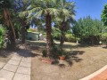 Cerveteri Villa con giardino